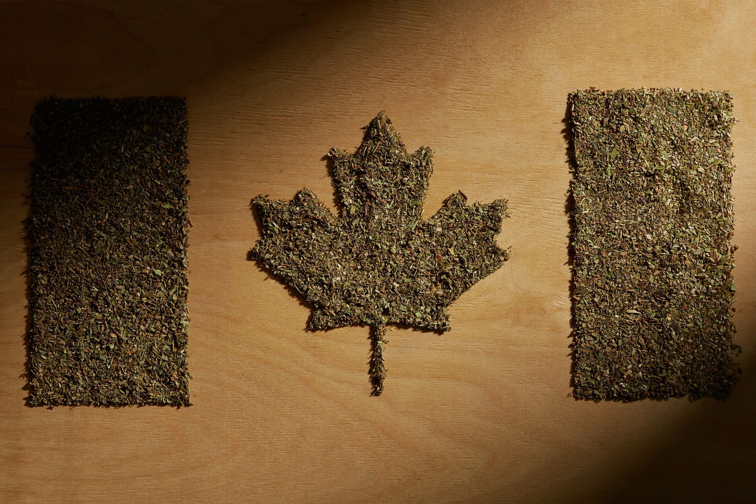 marijuana legalization and the Canadian workplace